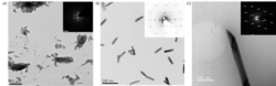 Figure 2: TEM images taken after 30 min of mixing equimolar 50 mM CaCl2 and Na2SO4 prepared via (A) vacuum drying (B) ethanol quenching and (C) Cryo-TEM. Bassanite is favoured when prepared either through drying or ethanol quenching, yet cryo-TEM preparation does not indicate any bassanite at this time point.