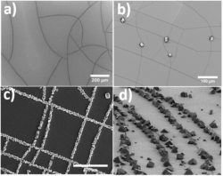 Figure 4: (a) Cracked metal film, (b) calcite crystals grown in cracks (c and d) calcite crystals grown on cracked substrate functionalised with a SAM