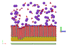 Figure 6: Potassium nitrate associating with a defect in a self-assembled monolayer