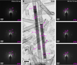 TEM images and corresponding SAED patterns of calcium sulfate precipitated within 200 nm diameter (manufacturer quoted) TiO2 nanotubes after (a) 16 hr. Area selected for diffraction is indicated by circles on TEM images, arrow indicates corresponding SAED pattern. Gypsum reflections are labelled in pink, and consistently have the c axis aligned parallel to the long axis of the crystals.